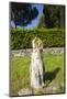 Via Appia-Stefano Amantini-Mounted Photographic Print