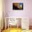 Via Clavature, Bologna, Emilia-Romagna, Italy, Europe-Bruno Morandi-Framed Stretched Canvas displayed on a wall