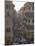 Via Condotti from the Spanish Steps, Rome, Lazio, Italy, Europe-Michael Newton-Mounted Photographic Print