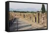 Via Dell'Abbondanza, Lower Decumanus of Pompeii-null-Framed Stretched Canvas