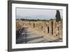Via Dell'Abbondanza, Lower Decumanus of Pompeii-null-Framed Photographic Print