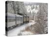 Via Rail Snow Train Between Edmonton & Jasper, Alberta, Canada-Cindy Miller Hopkins-Stretched Canvas