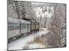 Via Rail Snow Train Between Edmonton & Jasper, Alberta, Canada-Cindy Miller Hopkins-Mounted Photographic Print