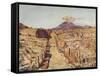 Via Stabia - Pompeii-Alberto Pisa-Framed Stretched Canvas