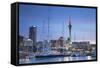 Viaduct Harbour and Sky Tower at Dusk, Auckland, North Island, New Zealand, Pacific-Ian-Framed Stretched Canvas