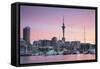 Viaduct Harbour and Sky Tower at Sunset, Auckland, North Island, New Zealand, Pacific-Ian-Framed Stretched Canvas