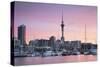 Viaduct Harbour and Sky Tower at Sunset, Auckland, North Island, New Zealand, Pacific-Ian-Stretched Canvas