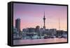 Viaduct Harbour and Sky Tower at Sunset, Auckland, North Island, New Zealand, Pacific-Ian-Framed Stretched Canvas