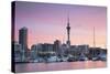 Viaduct Harbour and Sky Tower at Sunset, Auckland, North Island, New Zealand, Pacific-Ian-Stretched Canvas