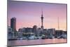 Viaduct Harbour and Sky Tower at Sunset, Auckland, North Island, New Zealand, Pacific-Ian-Mounted Photographic Print