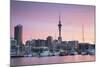 Viaduct Harbour and Sky Tower at Sunset, Auckland, North Island, New Zealand, Pacific-Ian-Mounted Photographic Print