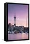 Viaduct Harbour and Sky Tower at Sunset, Auckland, North Island, New Zealand-Ian Trower-Framed Stretched Canvas