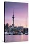 Viaduct Harbour and Sky Tower at Sunset, Auckland, North Island, New Zealand-Ian Trower-Stretched Canvas