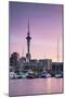 Viaduct Harbour and Sky Tower at Sunset, Auckland, North Island, New Zealand-Ian Trower-Mounted Photographic Print