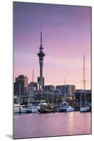 Viaduct Harbour and Sky Tower at Sunset, Auckland, North Island, New Zealand-Ian Trower-Mounted Photographic Print