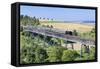 Viaduct, Sauschwanzlebahn, Historical Railway-Markus Lange-Framed Stretched Canvas