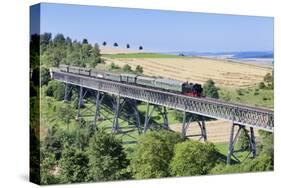 Viaduct, Sauschwanzlebahn, Historical Railway-Markus Lange-Stretched Canvas