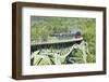 Viaduct, Sauschwanzlebahn, Historical Railway-Markus Lange-Framed Photographic Print