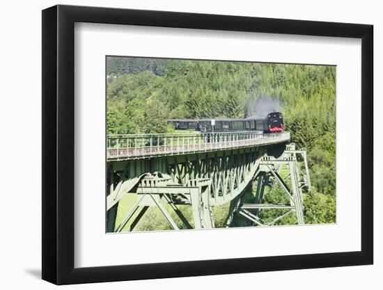 Viaduct, Sauschwanzlebahn, Historical Railway-Markus Lange-Framed Photographic Print