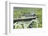 Viaduct, Sauschwanzlebahn, Historical Railway-Markus Lange-Framed Photographic Print