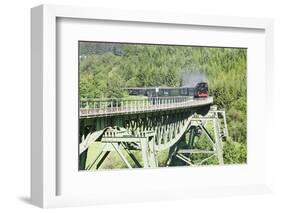 Viaduct, Sauschwanzlebahn, Historical Railway-Markus Lange-Framed Photographic Print