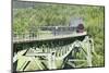 Viaduct, Sauschwanzlebahn, Historical Railway-Markus Lange-Mounted Photographic Print