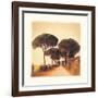 Viaggio I-Amy Melious-Framed Art Print