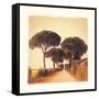 Viaggio I-Amy Melious-Framed Stretched Canvas