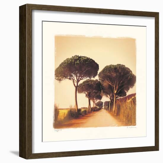 Viaggio I-Amy Melious-Framed Art Print