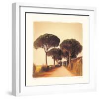 Viaggio I-Amy Melious-Framed Art Print