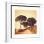 Viaggio I-Amy Melious-Framed Art Print