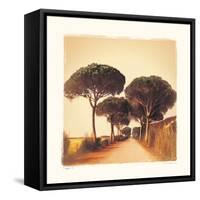 Viaggio I-Amy Melious-Framed Stretched Canvas