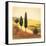 Viaggio II-Amy Melious-Framed Stretched Canvas