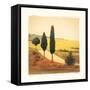 Viaggio II-Amy Melious-Framed Stretched Canvas