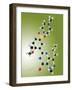 Viagra Drug Molecule-Miriam Maslo-Framed Photographic Print