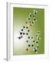 Viagra Drug Molecule-Miriam Maslo-Framed Photographic Print