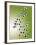 Viagra Drug Molecule-Miriam Maslo-Framed Photographic Print