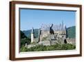 Brown Frame