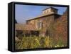 Viansa Winery and Italian Marketplace, Sonoma, California, USA-Alan Klehr-Framed Stretched Canvas