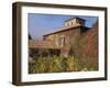 Viansa Winery and Italian Marketplace, Sonoma, California, USA-Alan Klehr-Framed Photographic Print