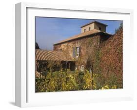 Viansa Winery and Italian Marketplace, Sonoma, California, USA-Alan Klehr-Framed Photographic Print