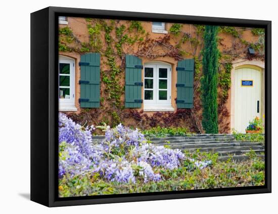 Viansa Winery, Sonoma Valley, California, USA-Julie Eggers-Framed Stretched Canvas