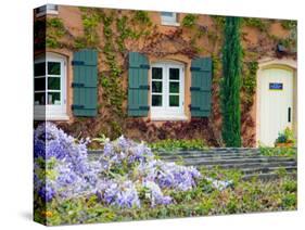 Viansa Winery, Sonoma Valley, California, USA-Julie Eggers-Stretched Canvas