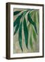 Viau cascading leaves-Rosana Laiz Garcia-Framed Giclee Print