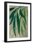 Viau cascading leaves-Rosana Laiz Garcia-Framed Giclee Print