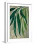 Viau cascading leaves-Rosana Laiz Garcia-Framed Giclee Print