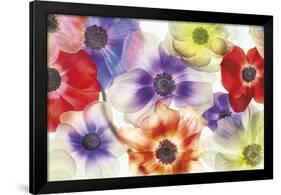 Vibrance II-Harold Davis-Framed Giclee Print