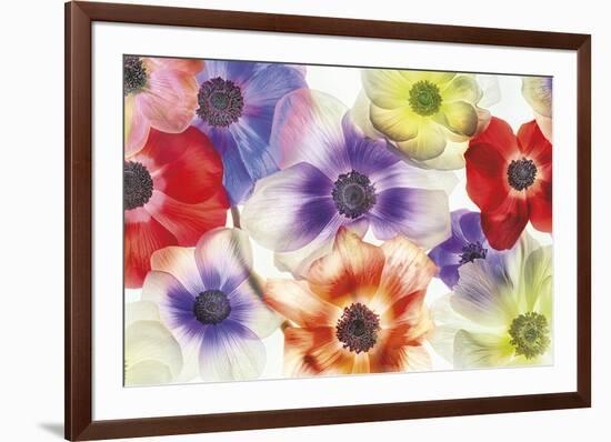 Vibrance II-Harold Davis-Framed Giclee Print