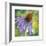 Vibrance-Annelein Beukenkamp-Framed Giclee Print