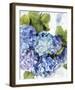 Vibrancy-Tania Bello-Framed Giclee Print